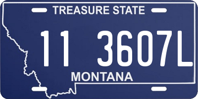 MT license plate 113607L