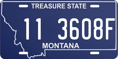 MT license plate 113608F