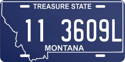 MT license plate 113609L