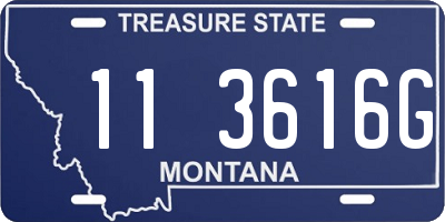 MT license plate 113616G