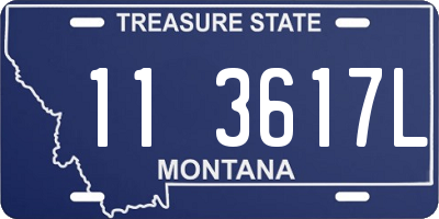 MT license plate 113617L