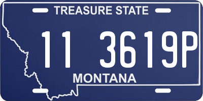 MT license plate 113619P