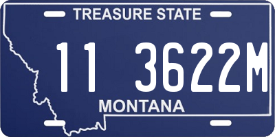 MT license plate 113622M