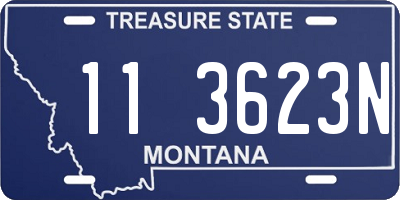 MT license plate 113623N