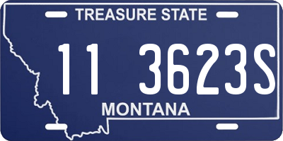 MT license plate 113623S
