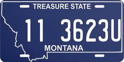 MT license plate 113623U
