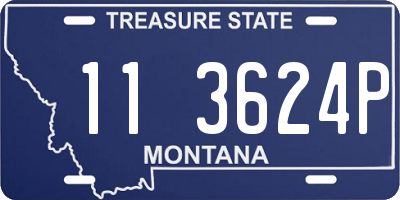 MT license plate 113624P