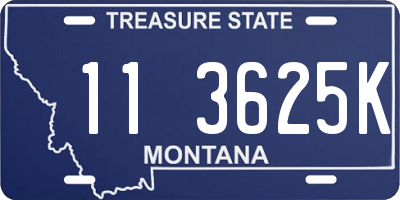 MT license plate 113625K