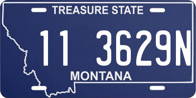MT license plate 113629N