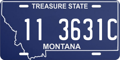 MT license plate 113631C
