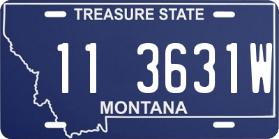 MT license plate 113631W