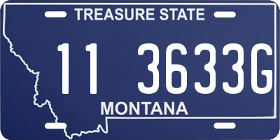 MT license plate 113633G