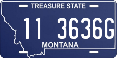 MT license plate 113636G
