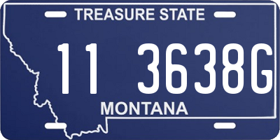 MT license plate 113638G