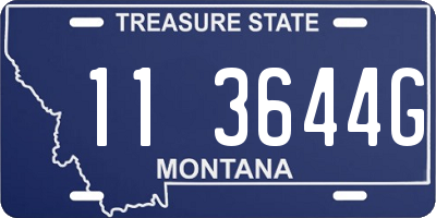 MT license plate 113644G