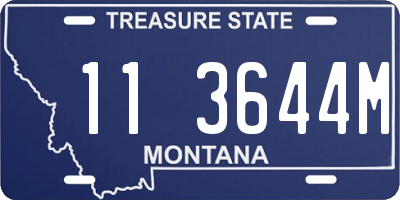 MT license plate 113644M