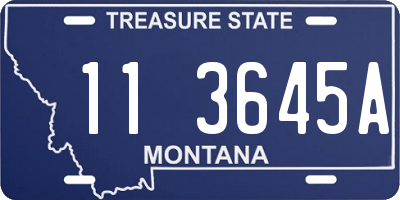 MT license plate 113645A