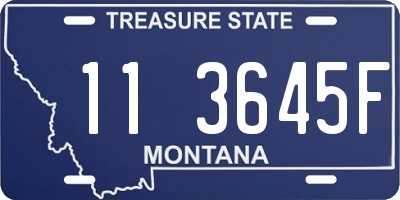 MT license plate 113645F