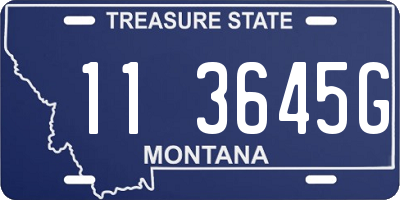 MT license plate 113645G
