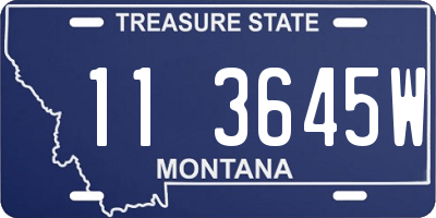 MT license plate 113645W