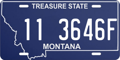 MT license plate 113646F