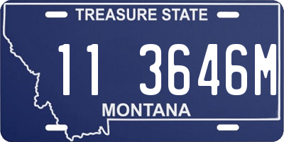 MT license plate 113646M