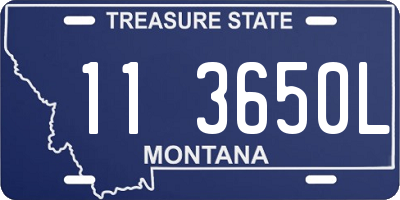 MT license plate 113650L