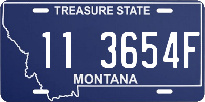 MT license plate 113654F