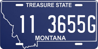 MT license plate 113655G