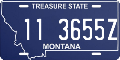 MT license plate 113655Z