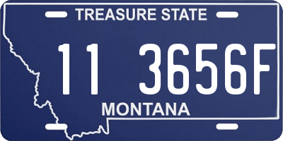 MT license plate 113656F