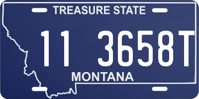 MT license plate 113658T