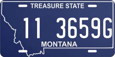 MT license plate 113659G