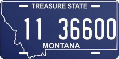MT license plate 113660O