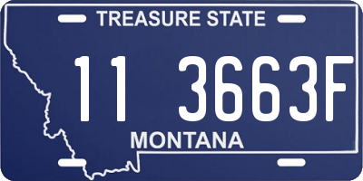 MT license plate 113663F