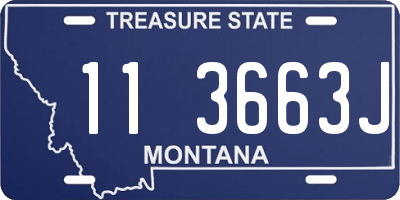 MT license plate 113663J