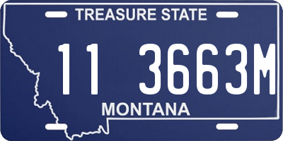 MT license plate 113663M