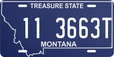 MT license plate 113663T