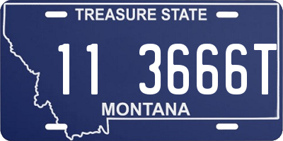 MT license plate 113666T