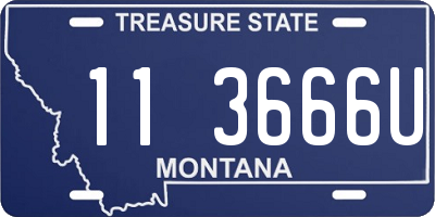 MT license plate 113666U