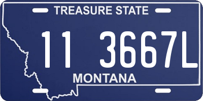 MT license plate 113667L