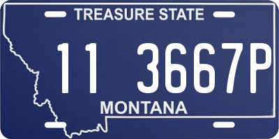 MT license plate 113667P