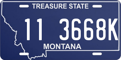 MT license plate 113668K