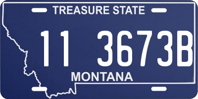 MT license plate 113673B