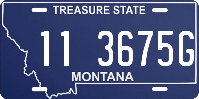 MT license plate 113675G