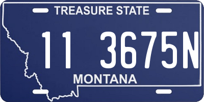 MT license plate 113675N