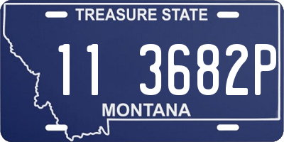 MT license plate 113682P