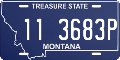 MT license plate 113683P