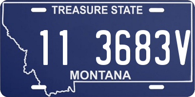 MT license plate 113683V