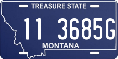 MT license plate 113685G